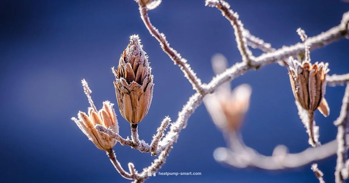 Winter Heat Pump Fix - Heatpump Smart