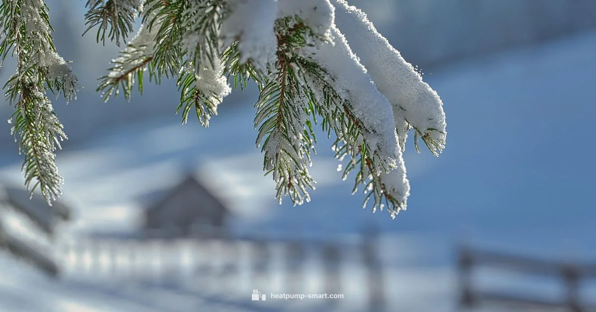 Cold-Weather Performance - Heatpump Smart