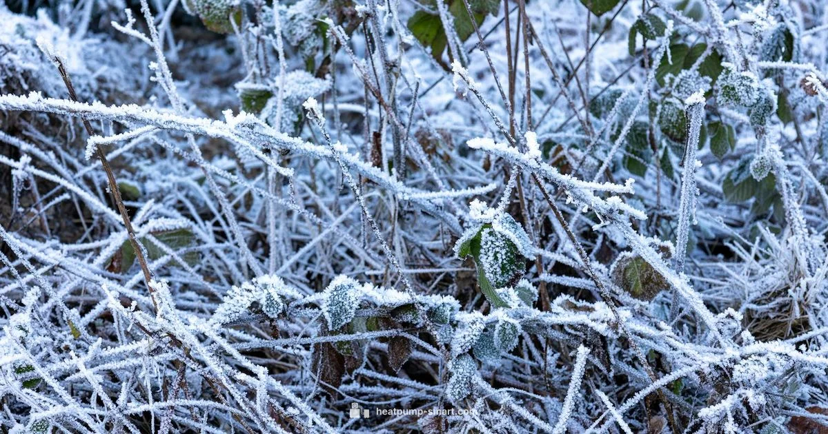 Winter Frost Fix - Heatpump Smart