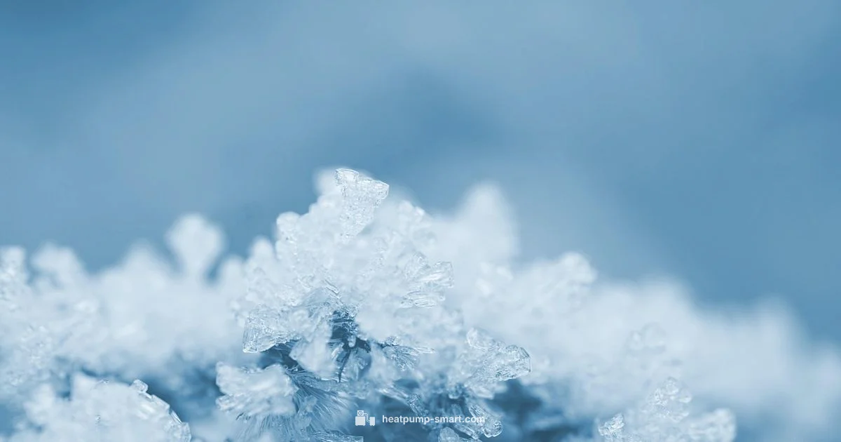 Frost Fix Guide - Heatpump Smart