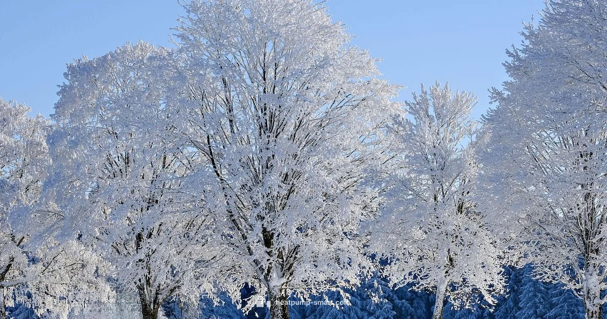 Winter Cover Guide - Heatpump Smart