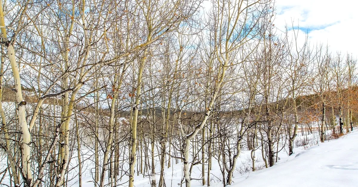 Winter Heat Yukon - Heatpump Smart