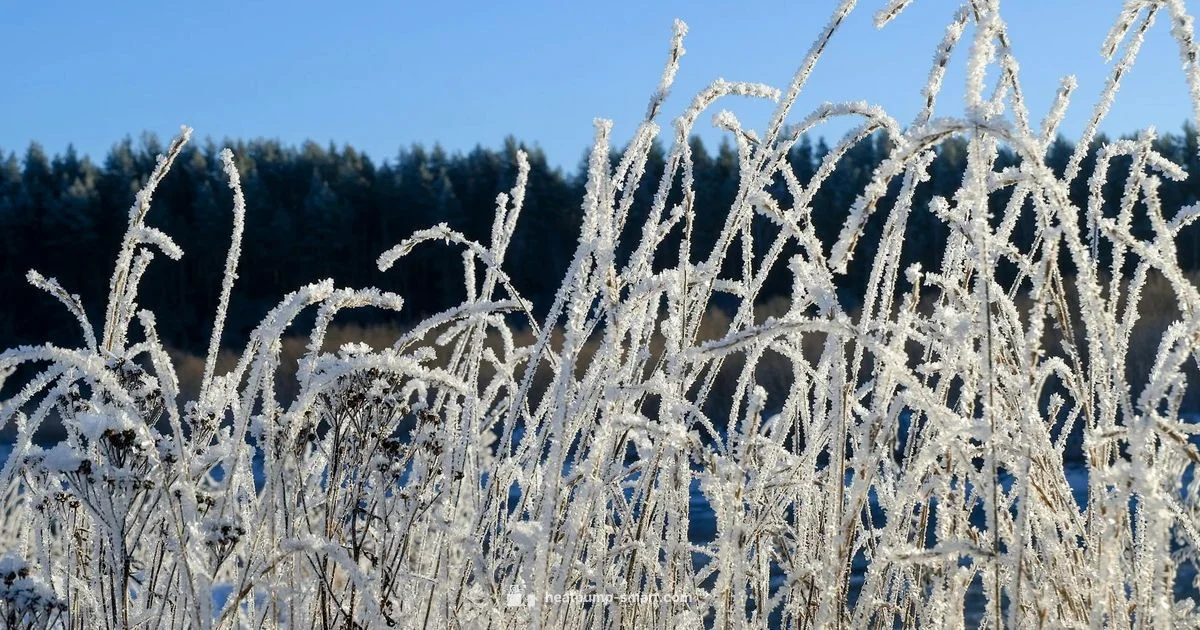 Defrost Your Heat Pump Defrost Your Heat Pump - Heatpump Smart