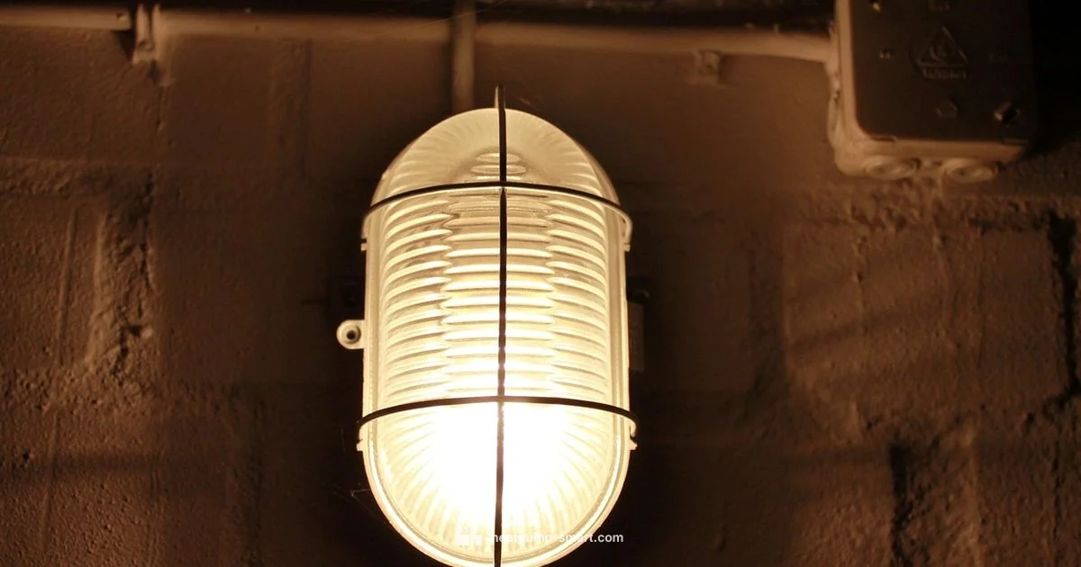 Basement Heat Guide - Heatpump Smart