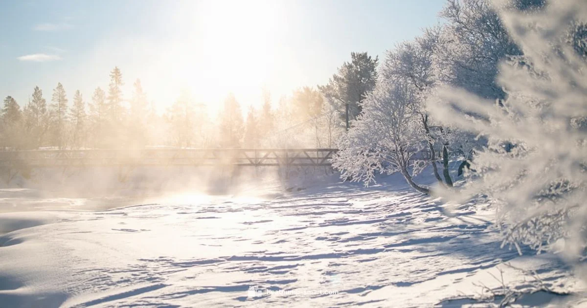 Heat Pump Outage Guide - Heatpump Smart