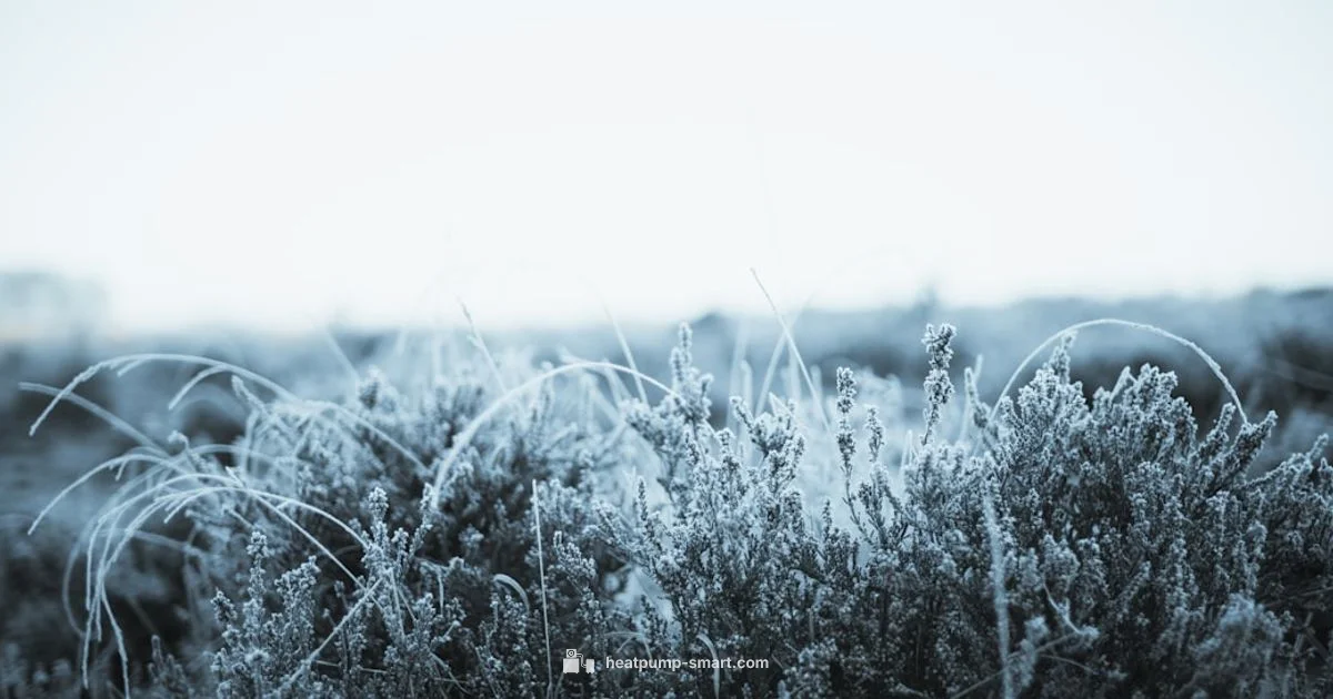 Heat Pump Freeze Fix - Heatpump Smart