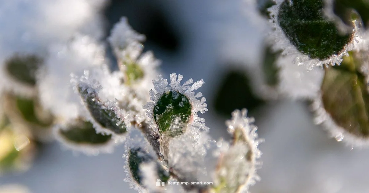 Heat Pump Defrost Guide - Heatpump Smart