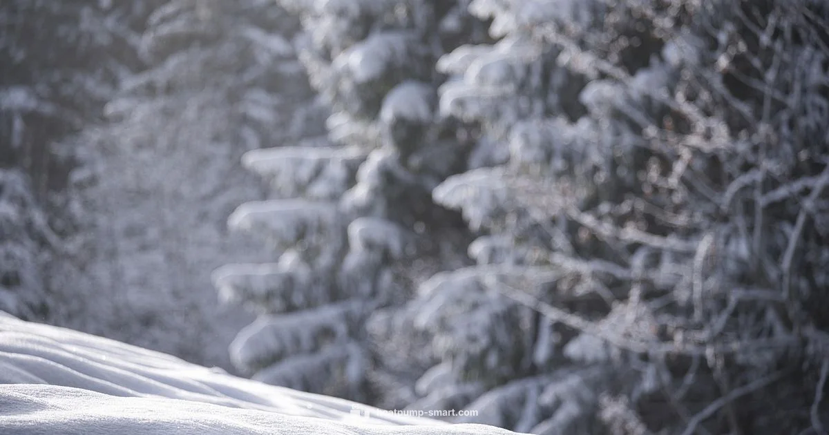 Winter Heat Pump Guide - Heatpump Smart