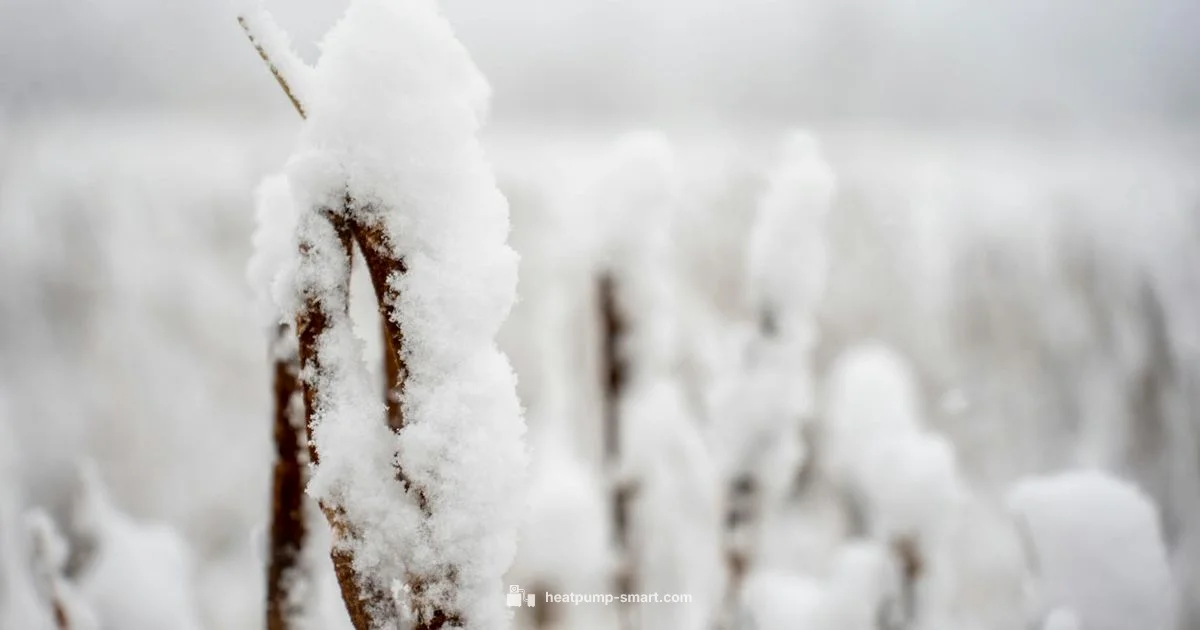 Cold-Weather Frost Defense - Heatpump Smart