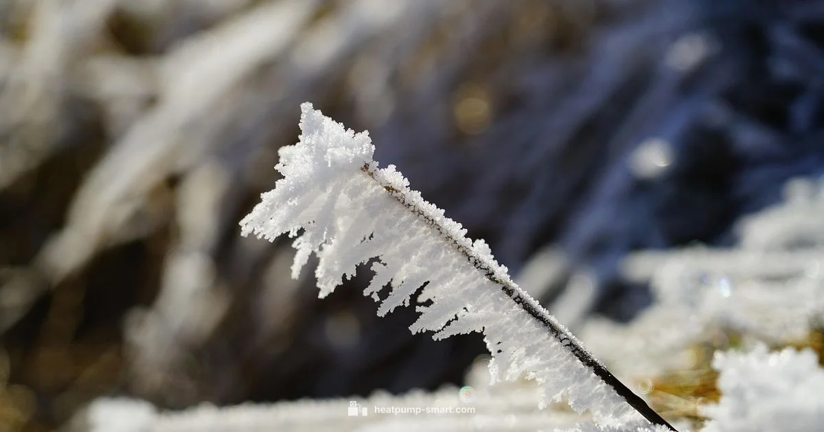 Ice on Heat Pump - Heatpump Smart