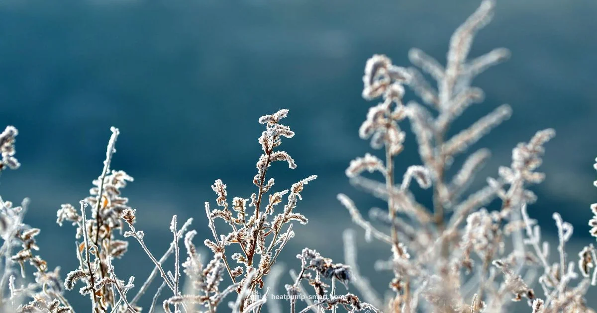 Winter Heat Noise - Heatpump Smart