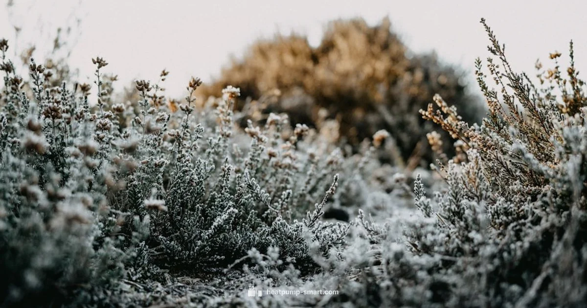 Defrost Basics - Heatpump Smart